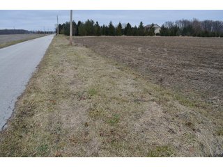 Property photo 24 - 175 Acres Offered in 5 Tracts - Tontogany, Ohio Farm Land Auction